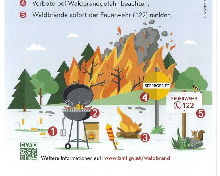 Plakat Waldbrand