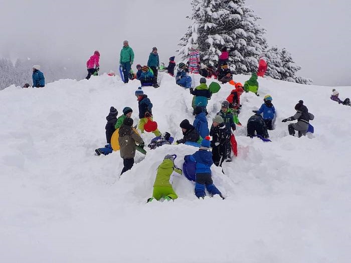 eine Gruppe von Menschen, die auf dem Schnee Ski fahren