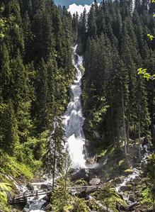ein Wasserfall in einem Wald